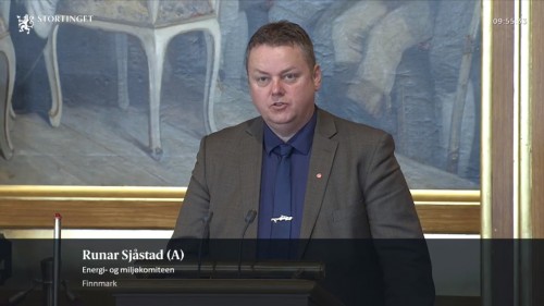 !Skjermdump Stortingets nett-tv