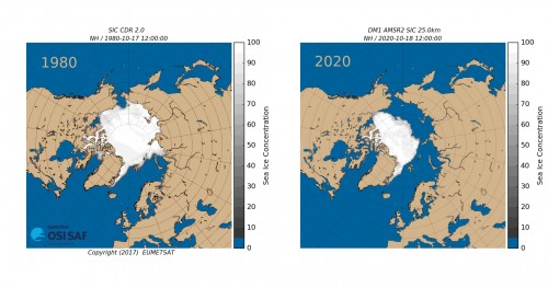 !Her ser du hvordan isutbredelsen har sunket de siste 40 rene. Vi har aldri mlt mindre is i oktober noen gang fr. Illustrasjon: Meteorologisk institutt / EUMETSAT