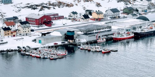 !Fiskebter i flytebrygger og ved fiskebruket Nordvgen AS. Foto: Bernt-Aksel Jensen