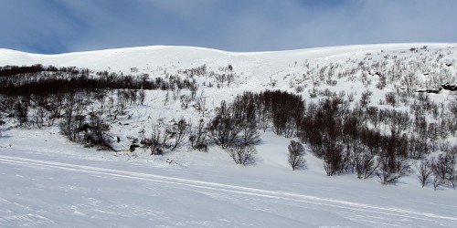 !verst i bildet ser vi skredkanten i Stranddalen. (Foto: Simon Pind Jessen Nordkapp kommune)