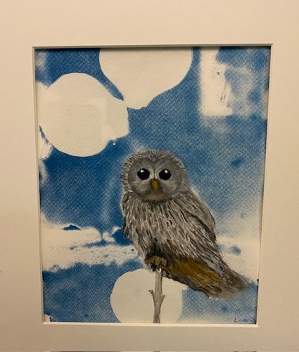 !Dette bildet kan bli ditt! 