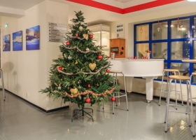 juletre02_vgs