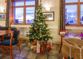 juletre08_radhuset