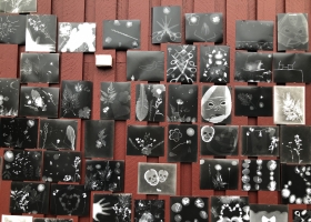 kulturleir1