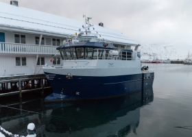 lysholmendaphvg-4