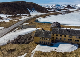 sarnesinter_05