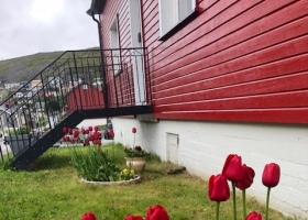 blomst2parkvesen