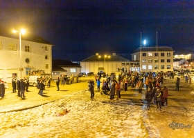 julegran_2020_02