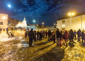 julegran_2020_03