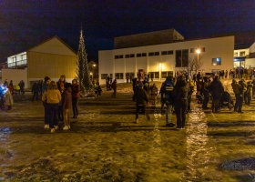 julegran_2020_05