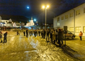 julegran_2020_06