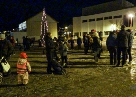 julegran_2020_07