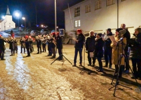 julegran_2020_08