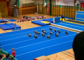turnstevnetupikl-8