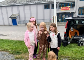 karnevalstog