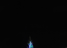julegrana7
