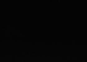 julegrana9