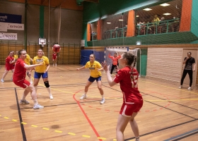 turnaltahandbal-4