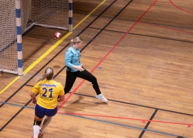 turnaltahandbal-6