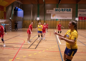 turnaltahandbal-9