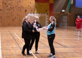 tverrelvdalsensbeste