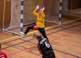 tverrelvedalenhandbdam-2