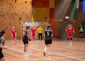 tverrelvedalenhandbdam-3