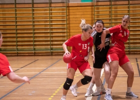 tverrelvedalenhandbdam-4