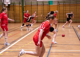 tverrelvedalenhandbdam-7