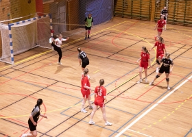 tverrelvedalenhandbdam-9