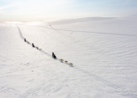 turlaget-hundekjoring_02