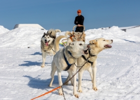 turlaget-hundekjoring_05