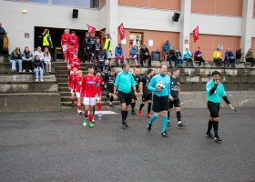 turnglimtser