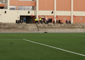 turndalena-8