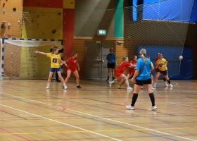 handbaltadame-3