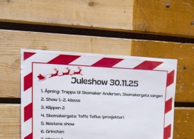 turngrjuleshow-8