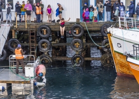 hopp-i-havet-2026_06