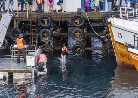 hopp-i-havet-2026_07