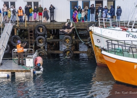 hopp-i-havet-2026_08