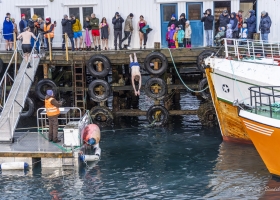 hopp-i-havet-2026_10