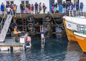 hopp-i-havet-2026_11