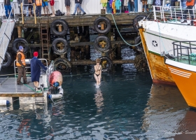 hopp-i-havet-2026_15