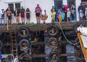 hopp-i-havet-2026_18