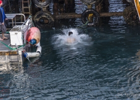 hopp-i-havet-2026_19