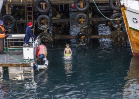 hopp-i-havet-2026_21