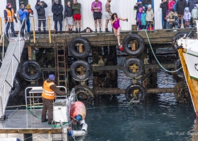 hopp-i-havet-2026_24