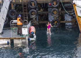 hopp-i-havet-2026_25