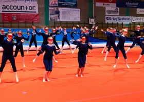 stevnet1