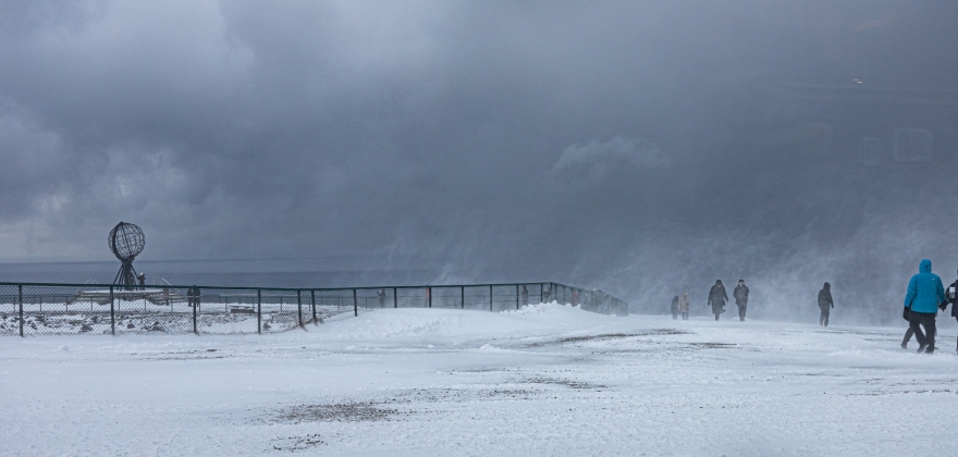 Hund tatt vare på av turist på Nordkapp-platået Hund tatt vare på av turist på Nordkapp-platået