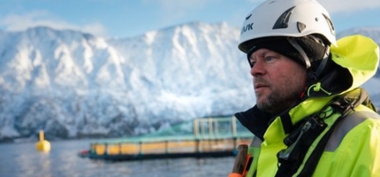 Perlesnormaneten forårsaket store ødeleggelser Perlesnormaneten forårsaket store ødeleggelser